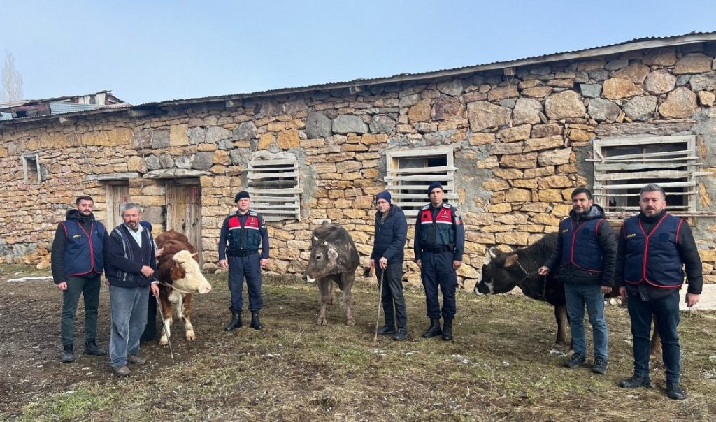 SİVAS TA BÜYÜK BAŞ HAYVAN HIRSIZLIĞI - RADYO BORA