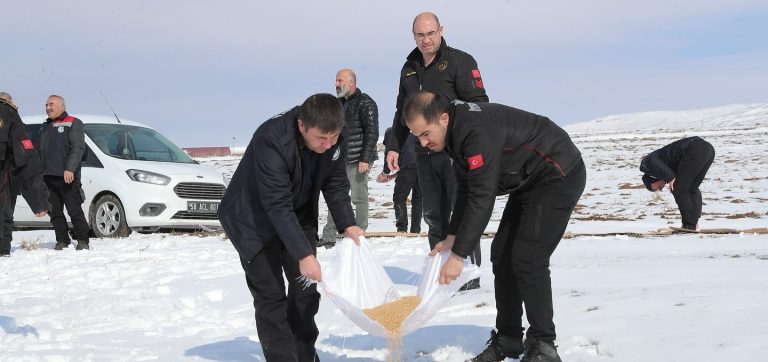 Sivas Belediyesinden Kış Aylarına Özel Yaban Hayvanlarına Yem Bırakıldı-radyobora